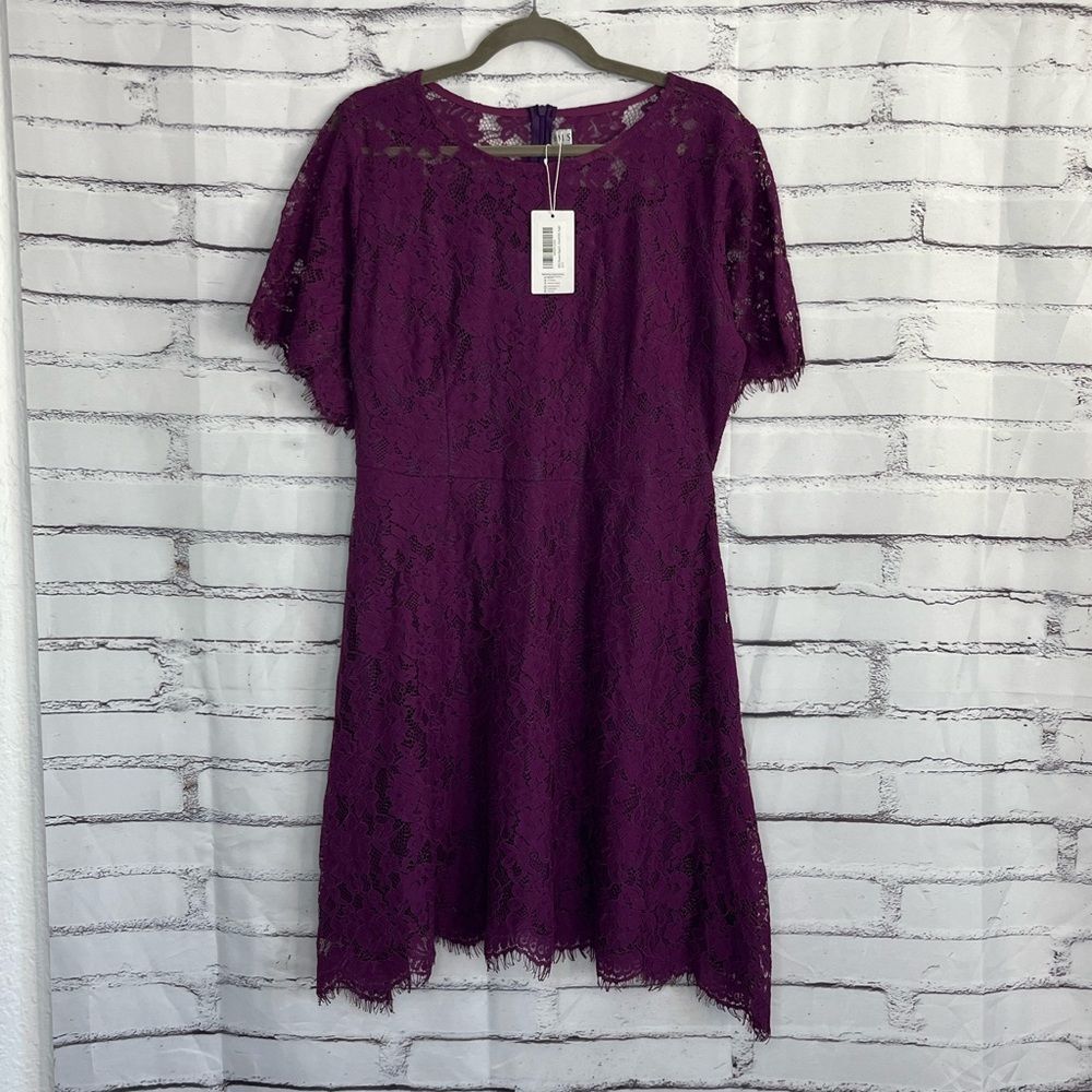 MSLG Royal Purple Lace Midi Dress Short Sleeve Scalloped Hem NWT Women’s Medium